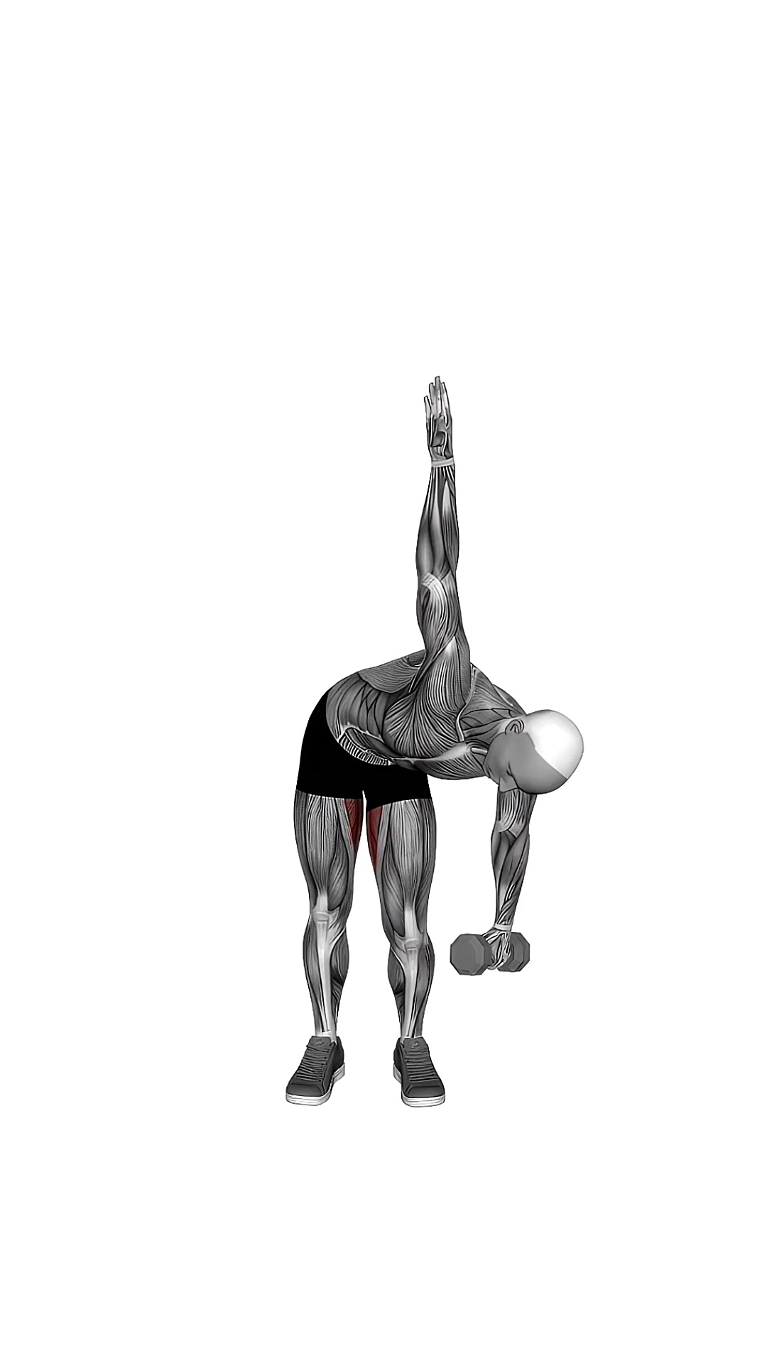 Dumbbell Low Windmill