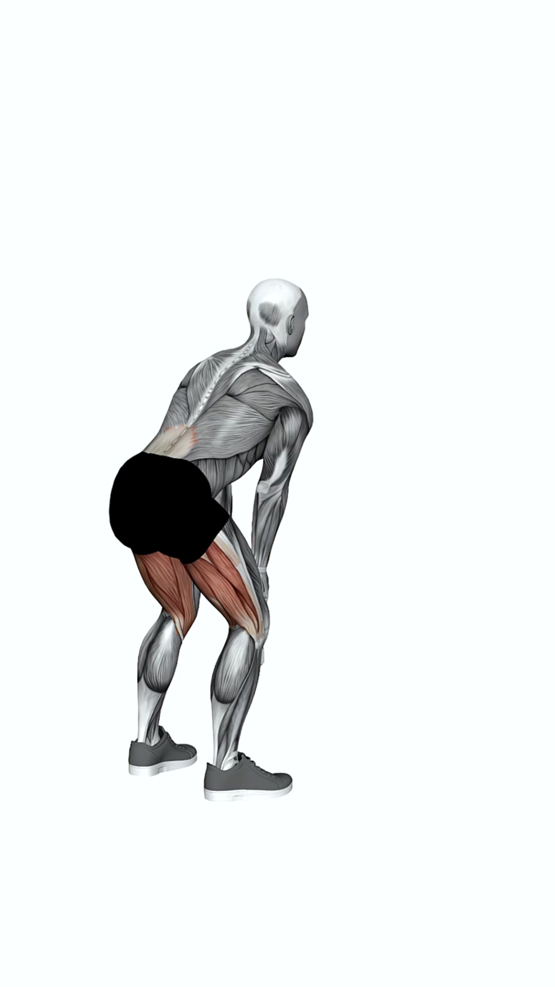 Dumbbell Swing