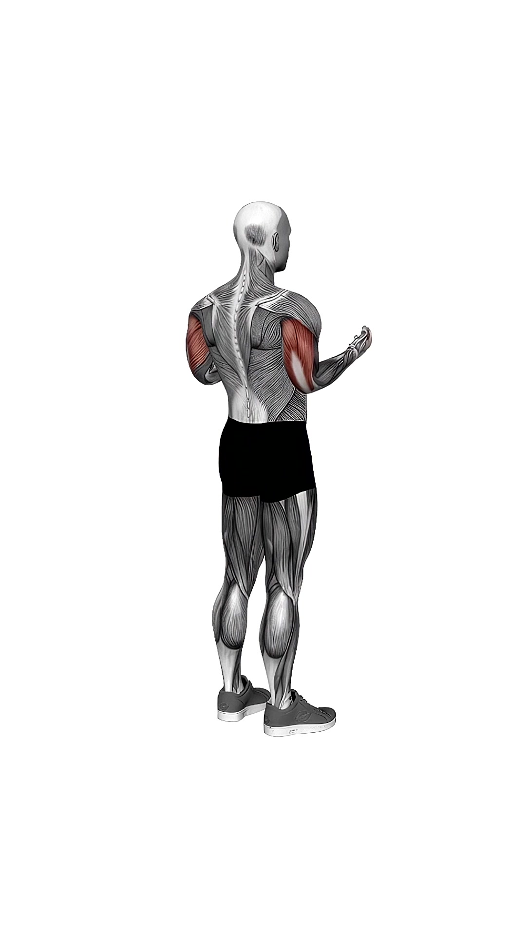 Elbow-extension