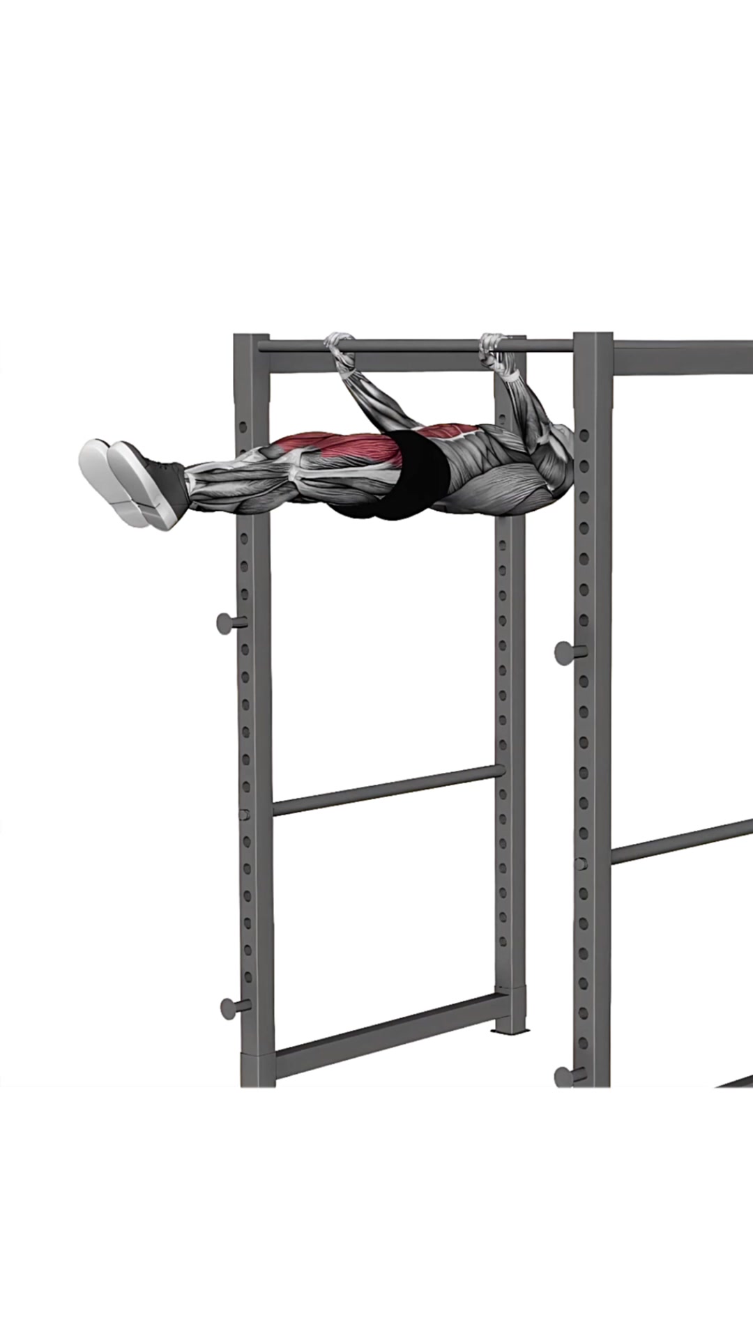 Front Lever Raise To Hold