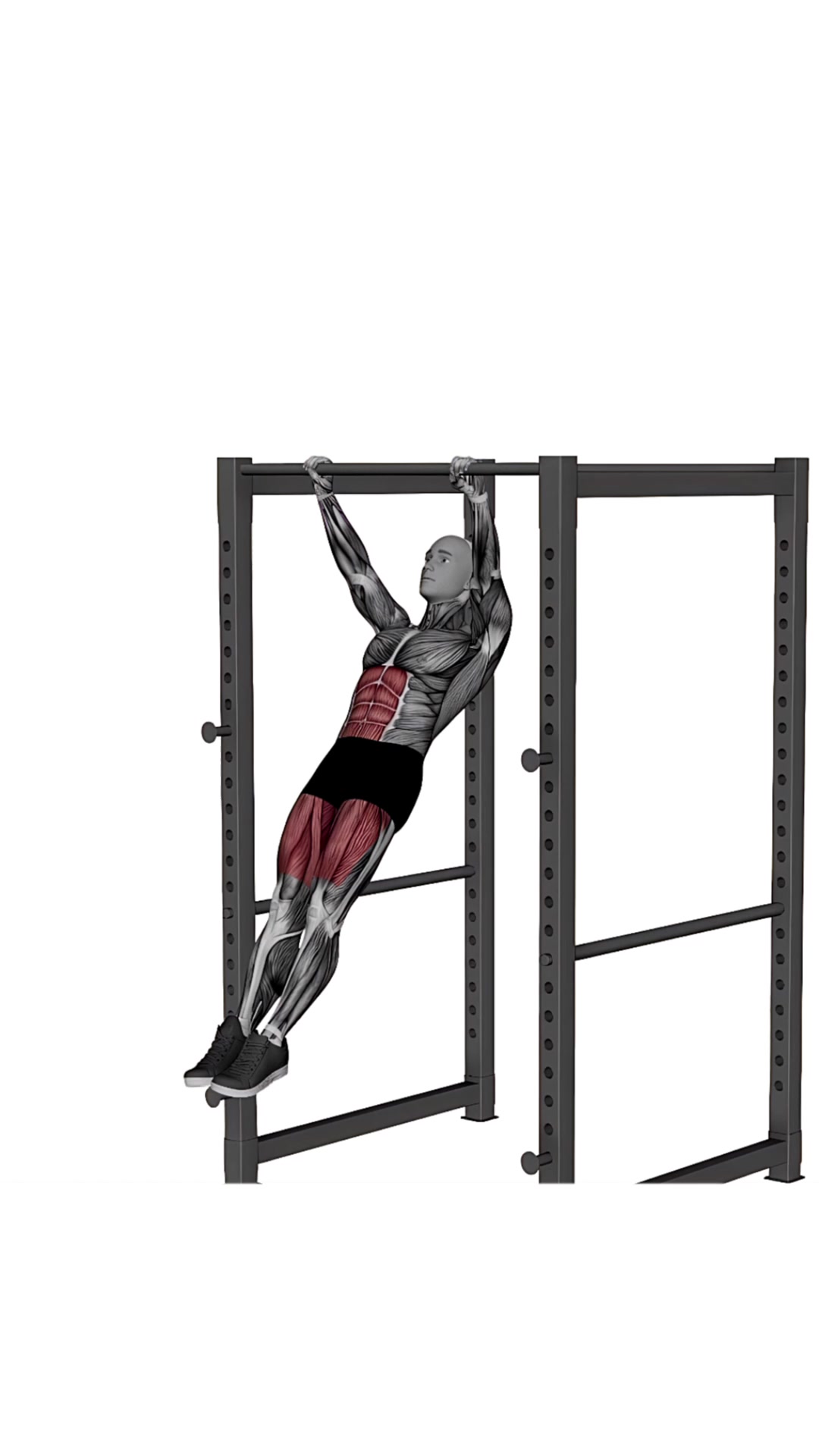 Front Lever Raise