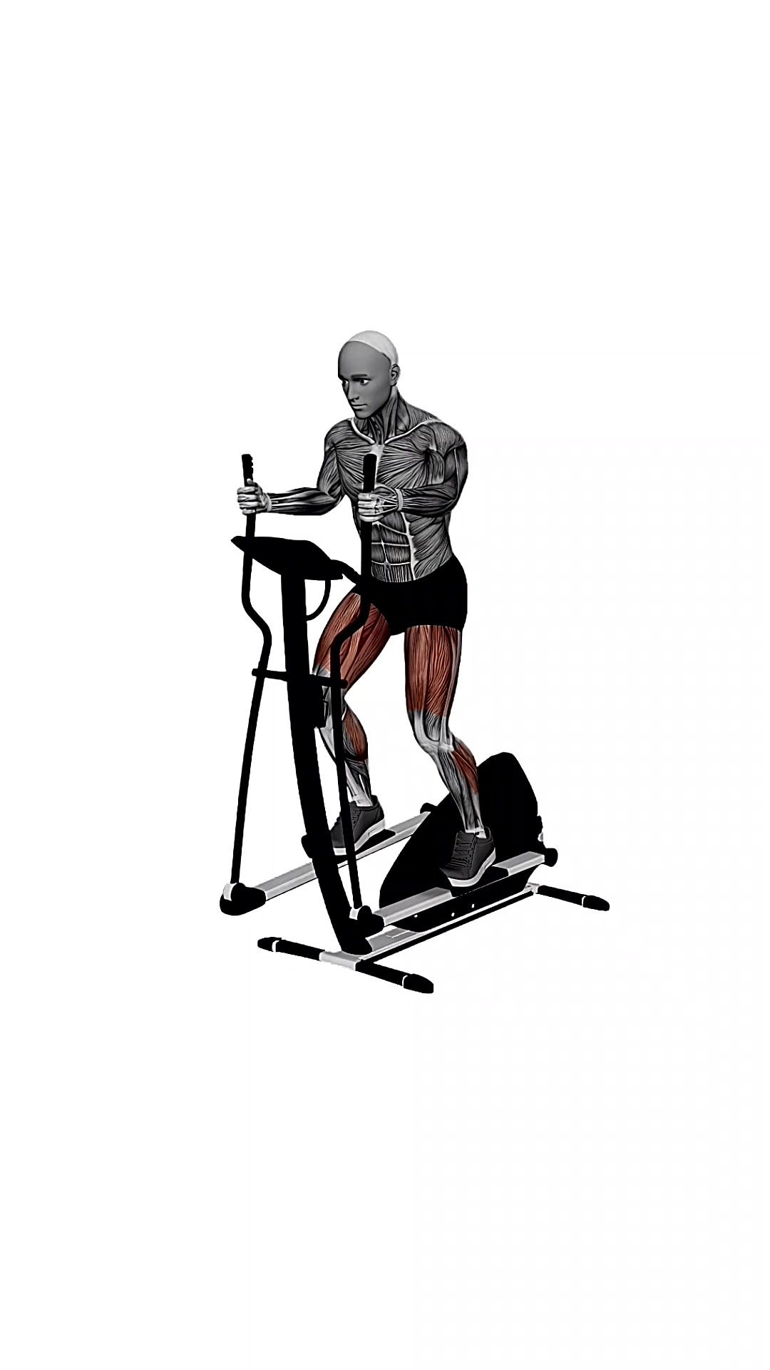 Gym Elliptical Machine Fast Speed
