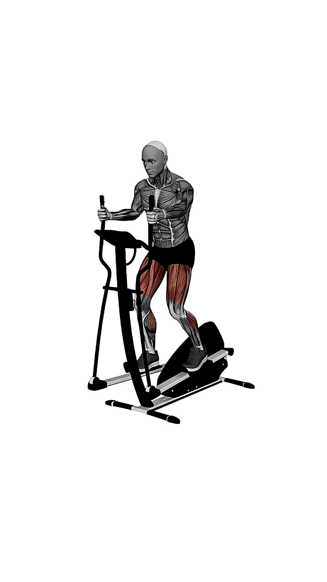 Gym Elliptical Machine Normal Speed