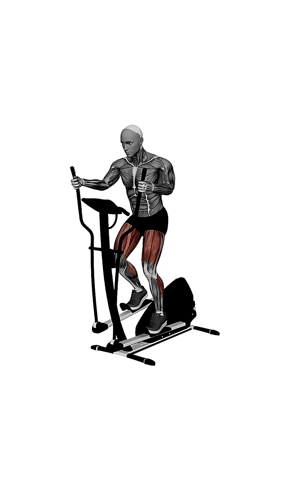 Gym Elliptical Machine Sprint Speed