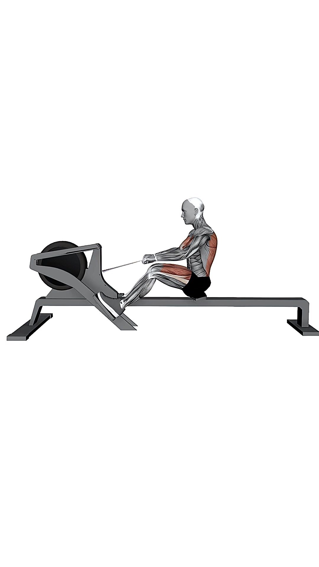 Gym Rowing Machine Fast Speed