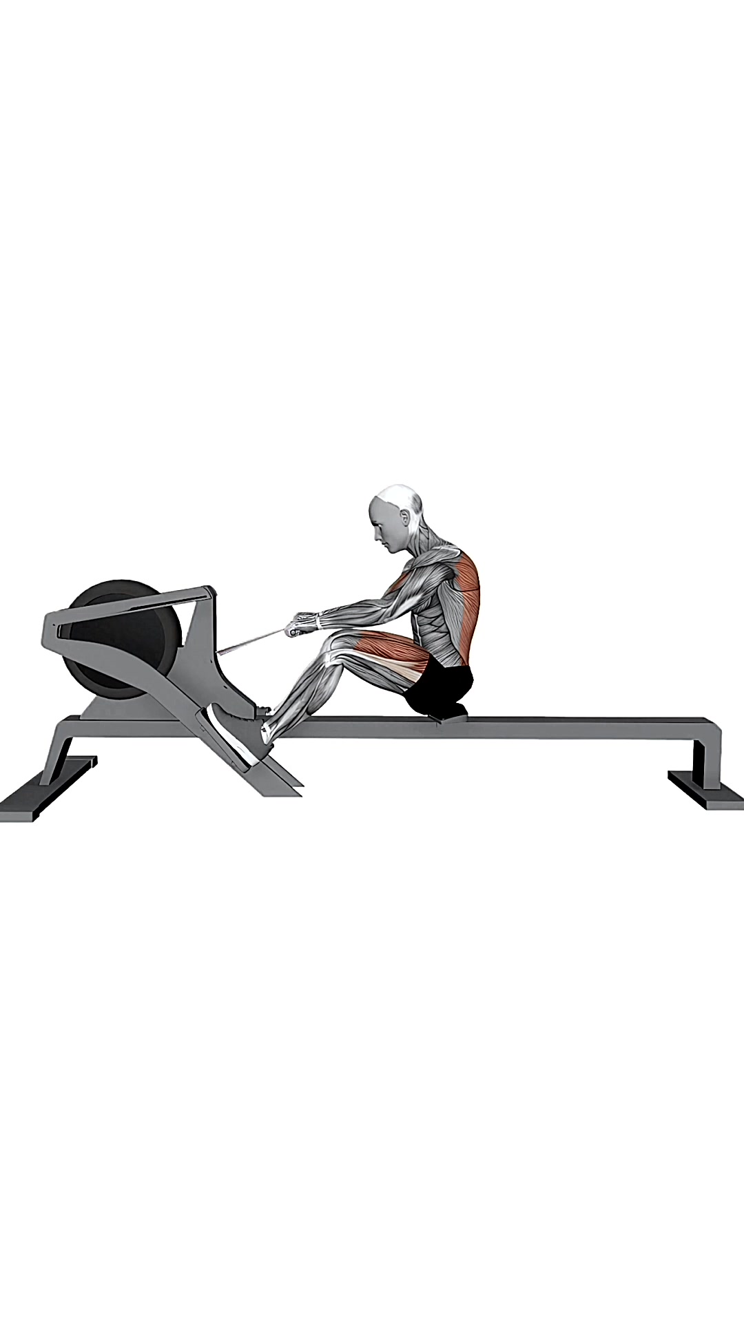 Gym Rowing Machine Normal Speed