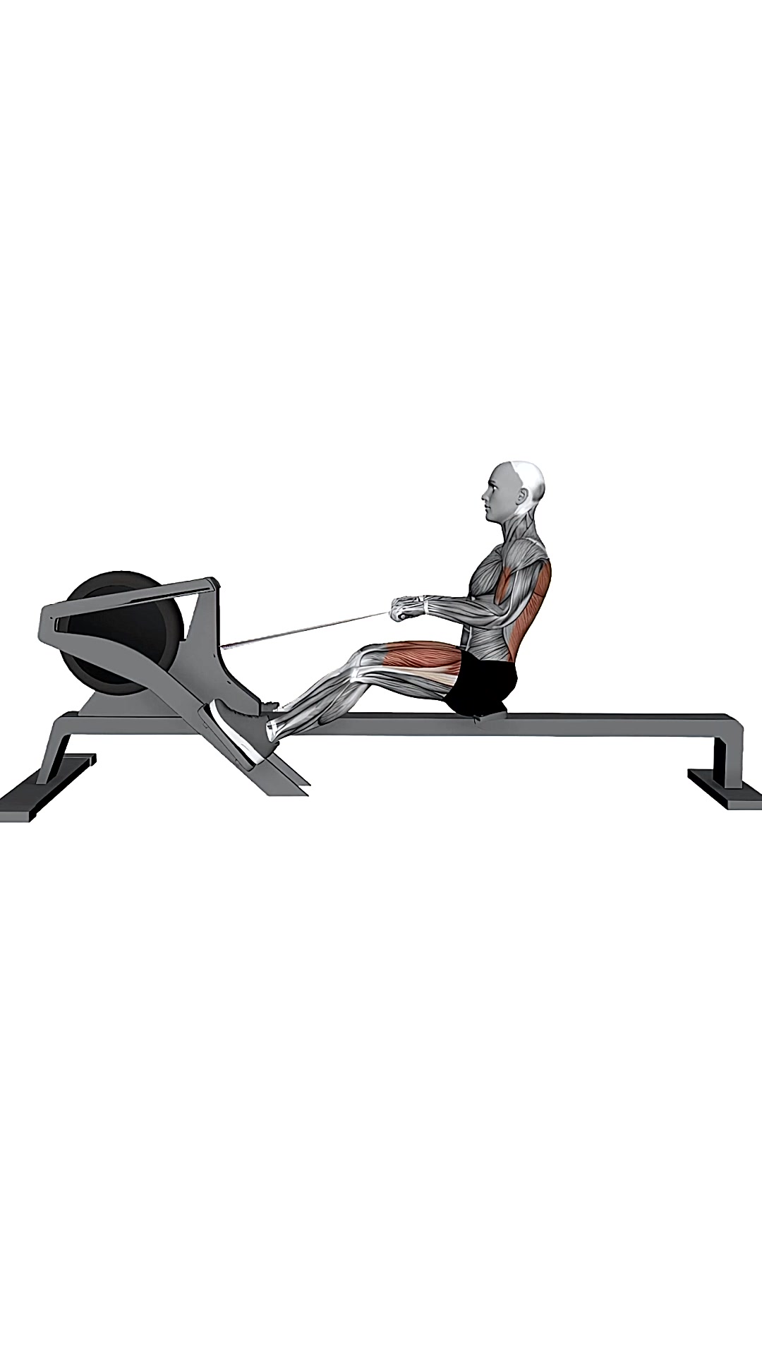 Gym Rowing Machine Sprint Speed