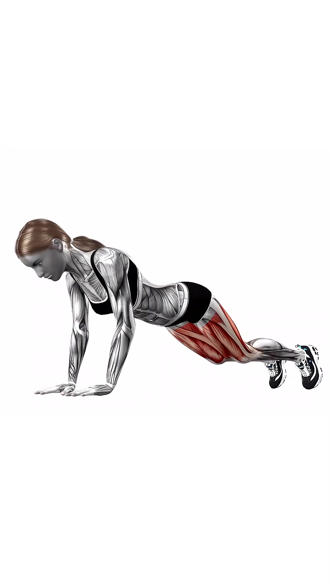 Half Burpees