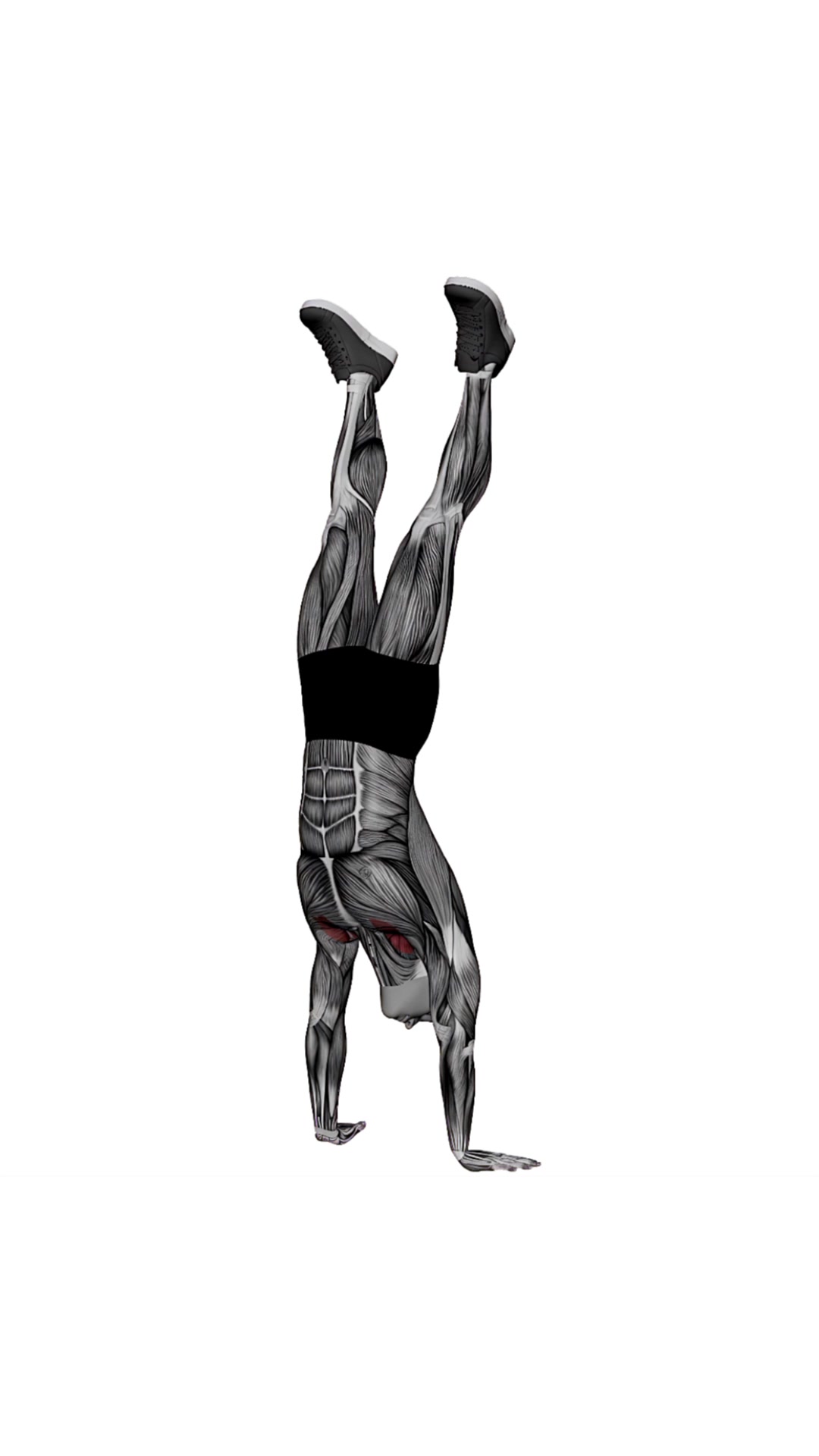 Hand Stand Hold