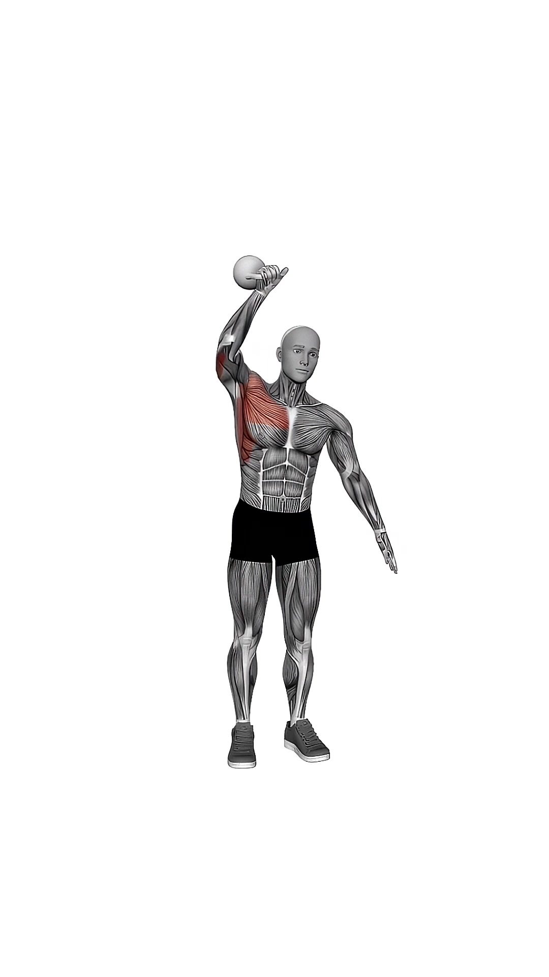 Kettlebell Strict Press
