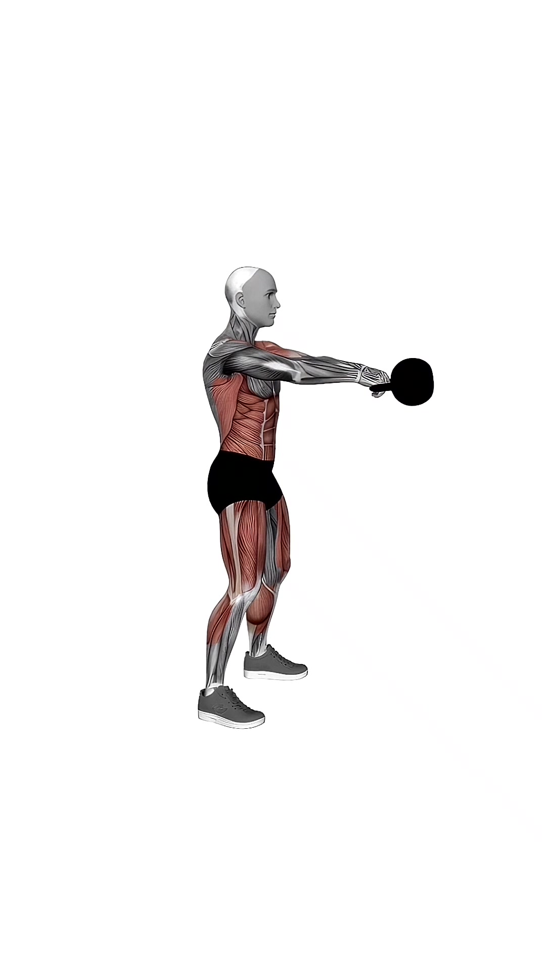 Kettlebell Swing