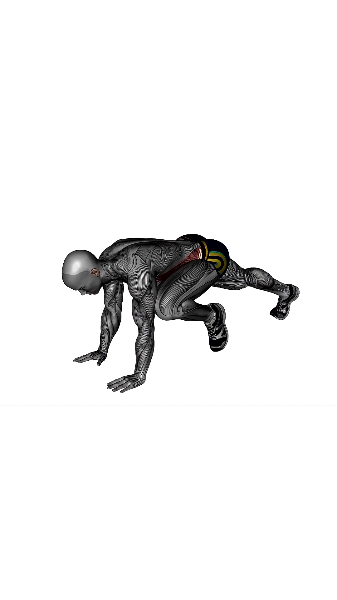 Plank Lunges