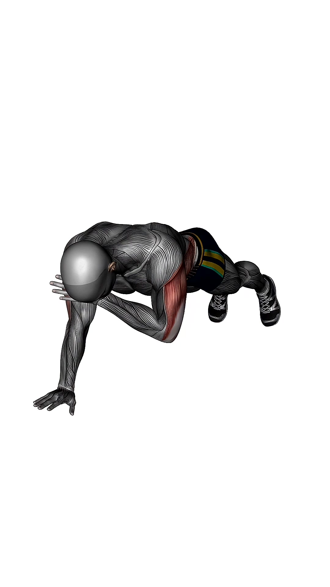 Plank Shoulder Taps