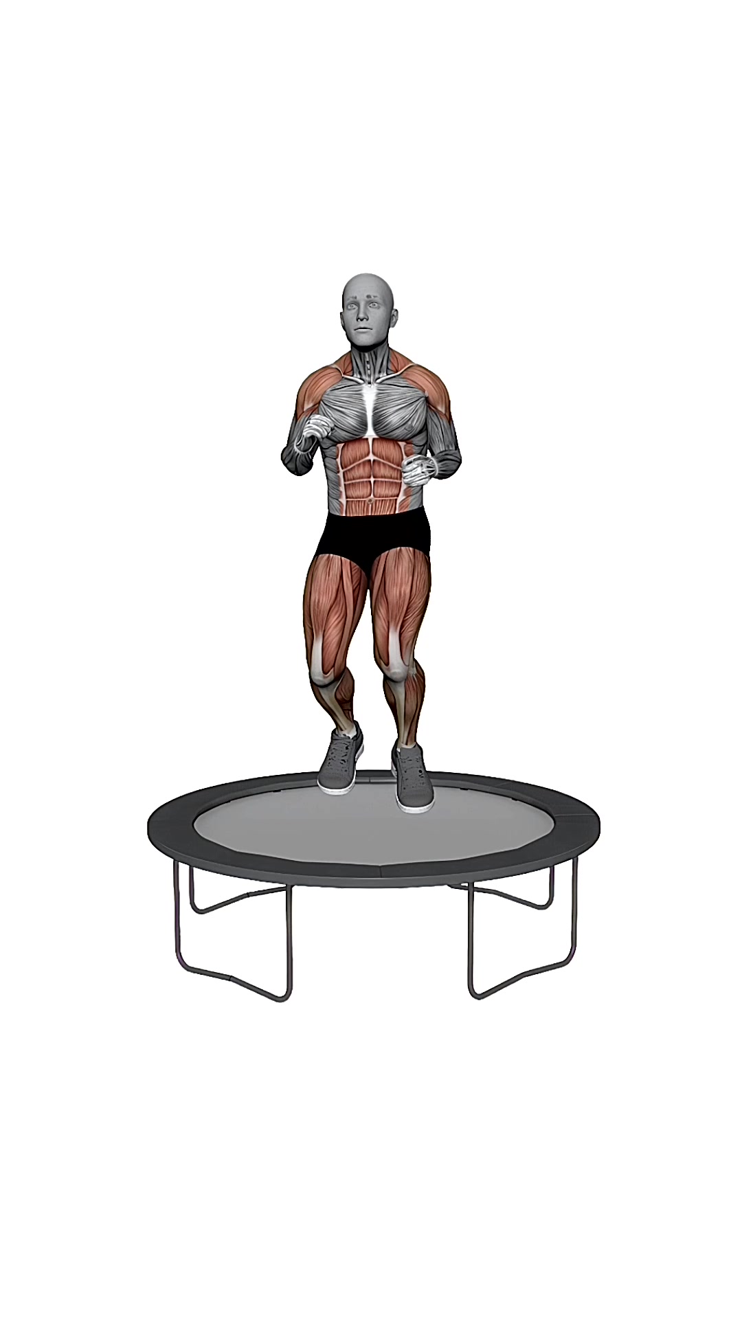 Rebounder High Knee Runs