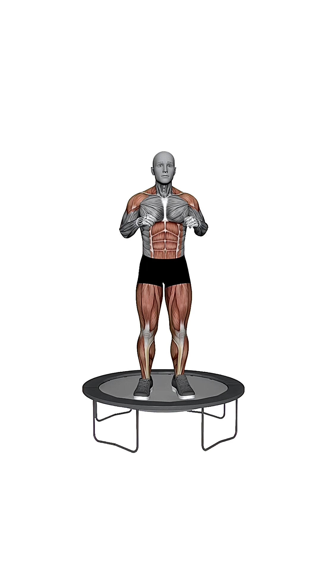 Rebounder In & Out From Ground