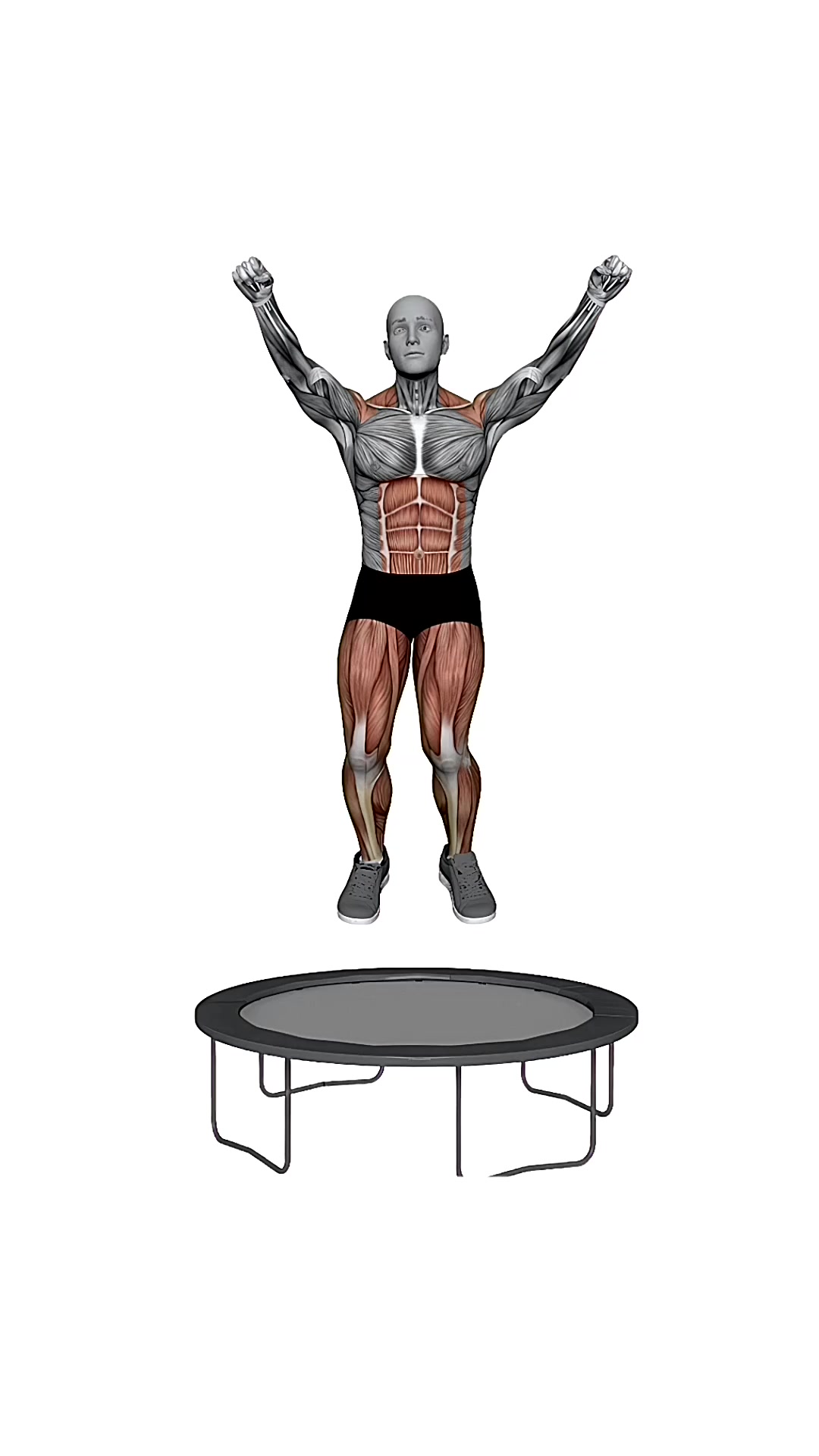 Rebounder Knee Jumps