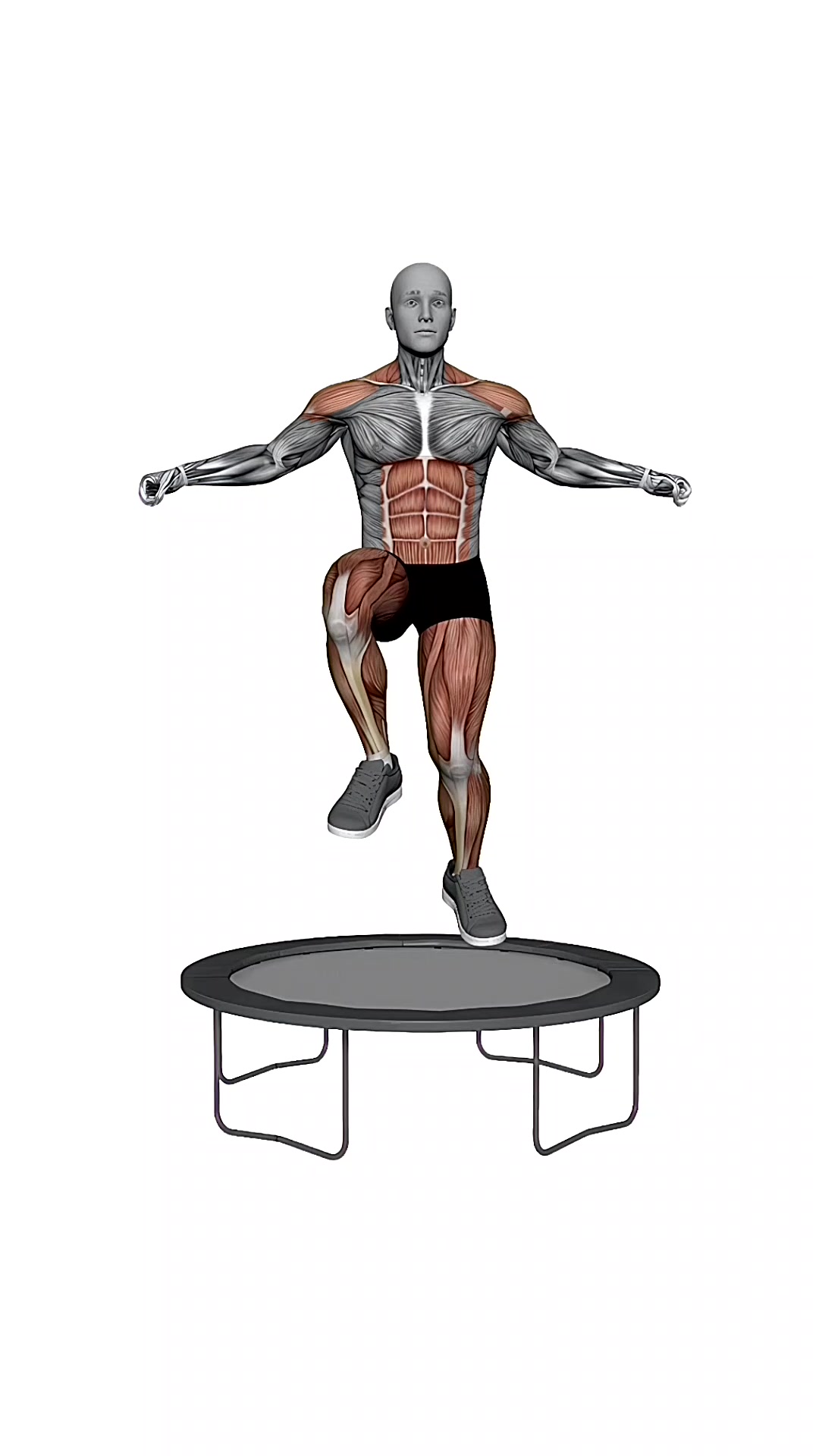 Rebounder Knee Pushes