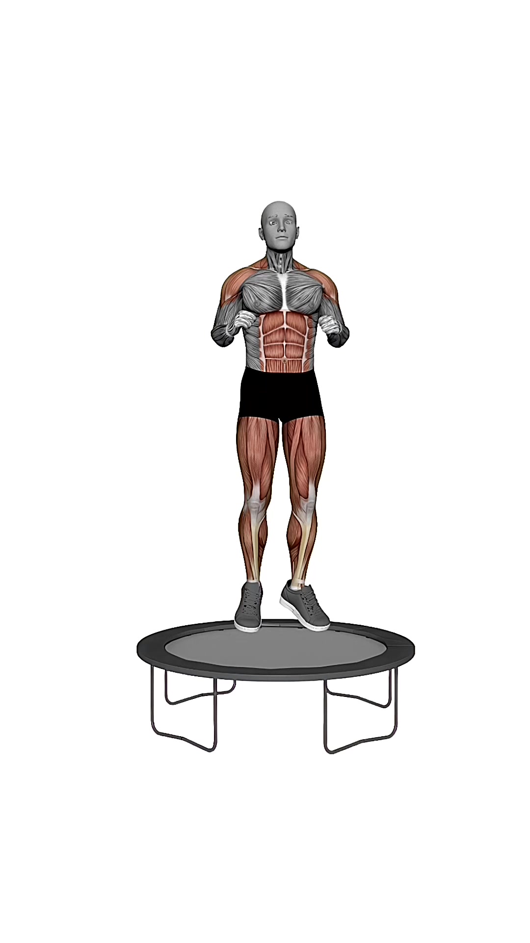 Rebounder Light Jumps