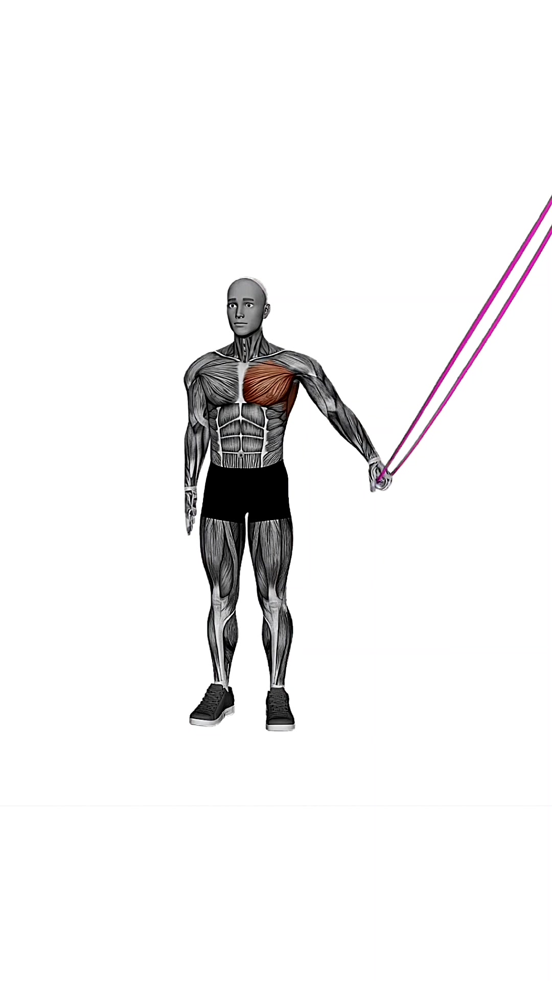 Resistance Band Shoulder Adduction