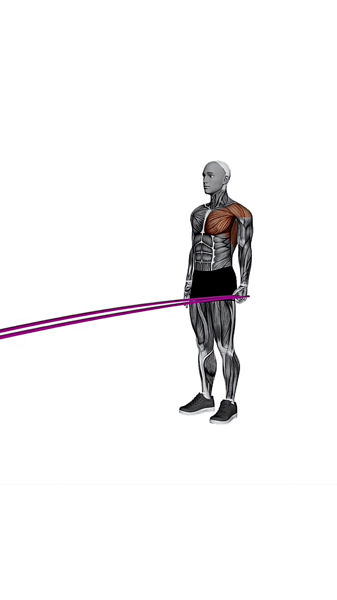 Resistance Band Standing Single Arm Shoulder Extension
