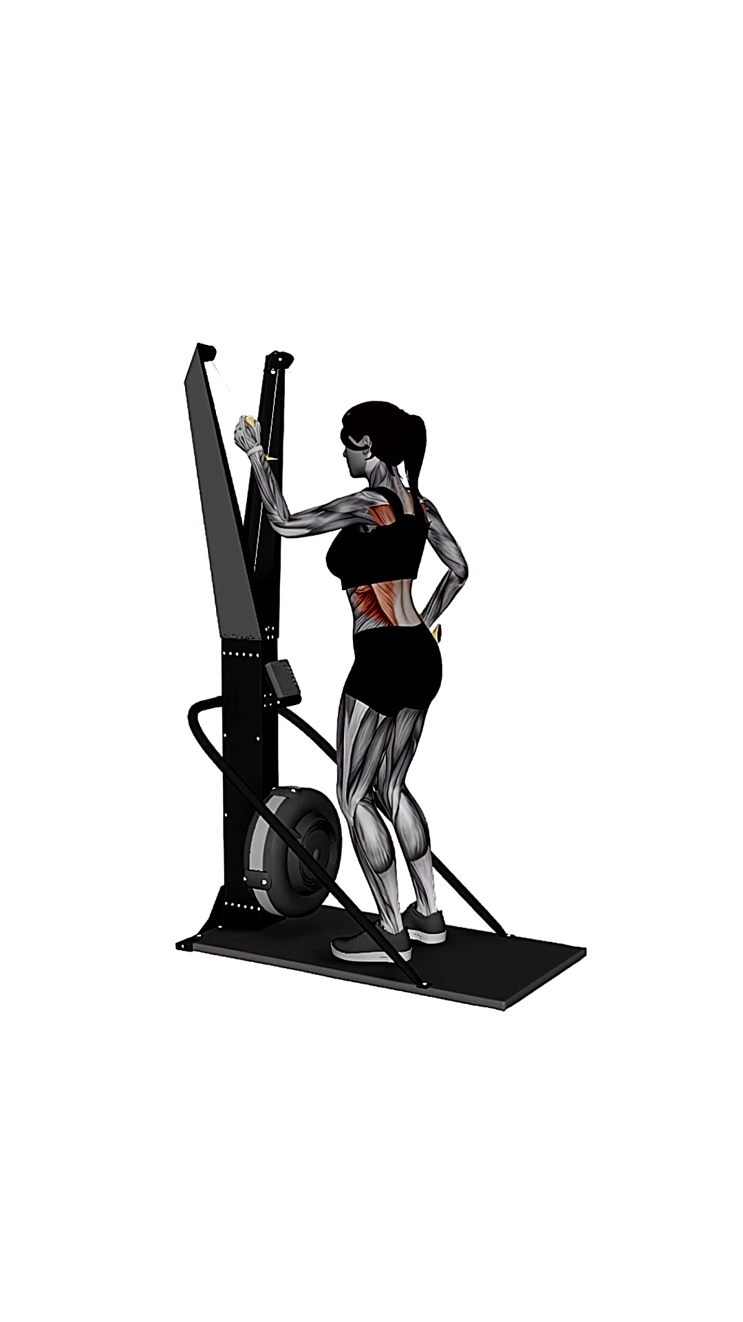 Ski Ergometer Cross Country Ski Alternating Arm Pulls