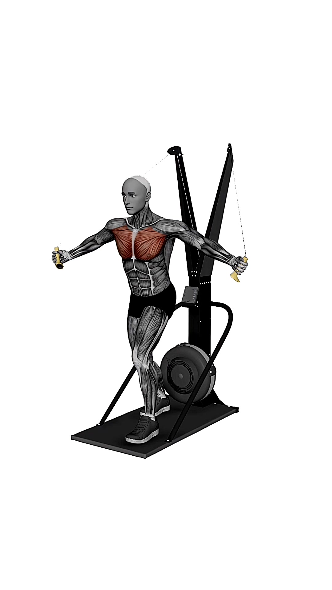 Ski Ergometer Cross Country Ski Flyes