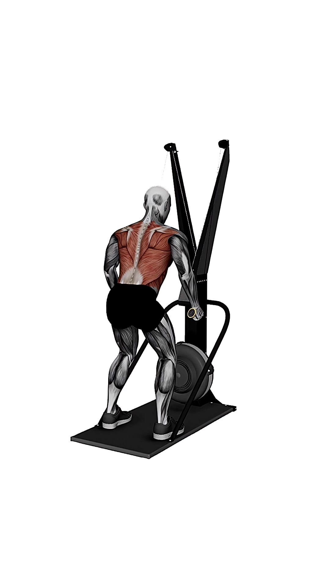 Ski Ergometer Cross Country Ski Pullover Pull