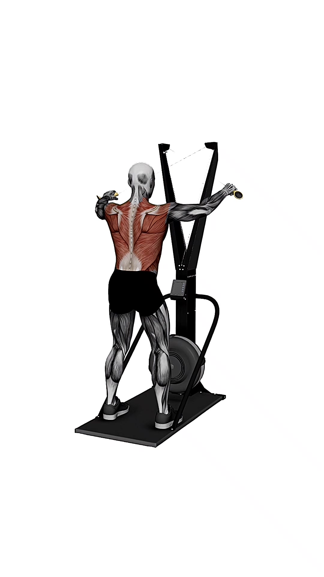 Ski Ergometer Cross Country Ski Reverse Fly Pull