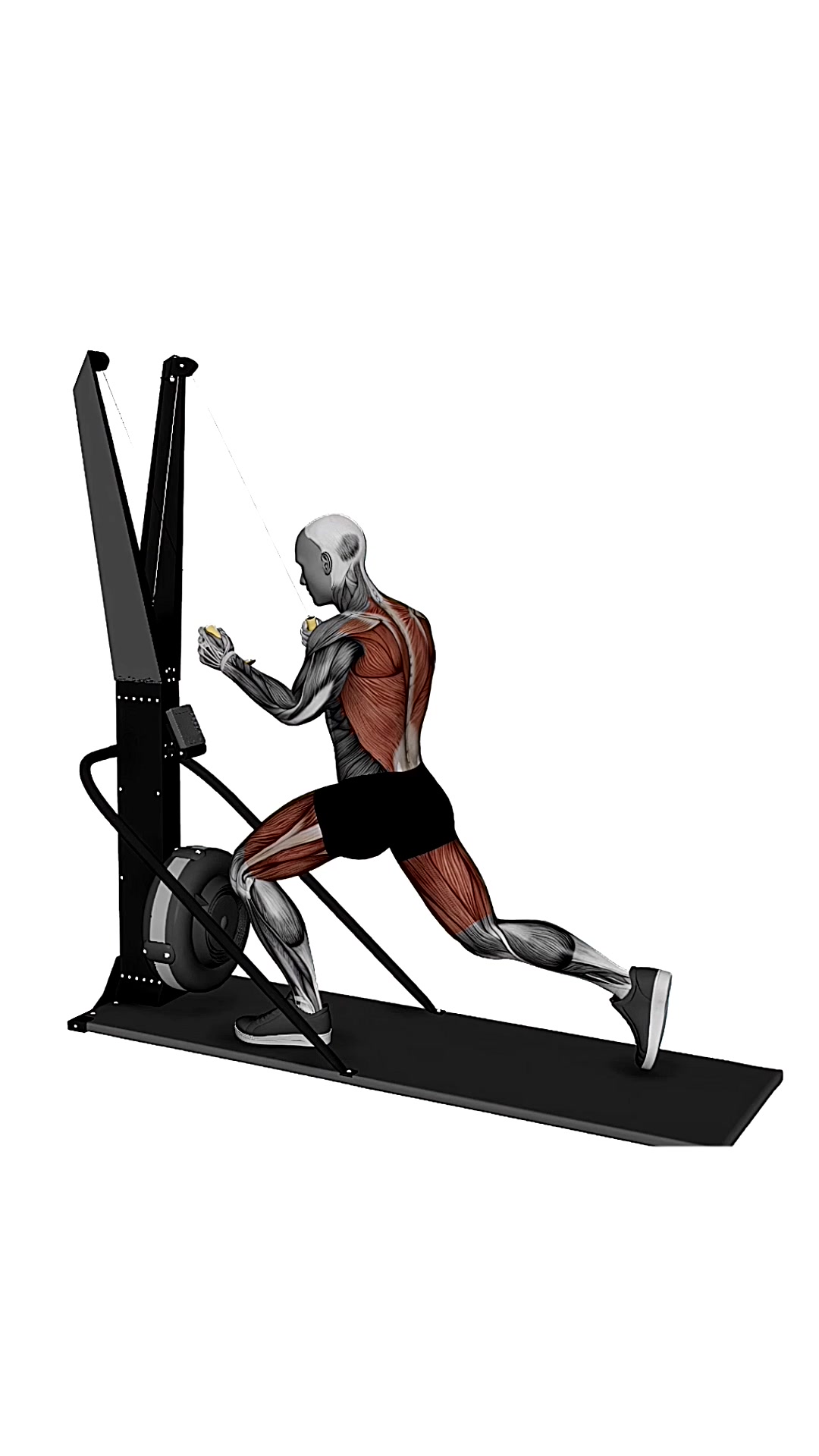 Ski Ergometer Cross Country Ski Reverse Lunge Pull