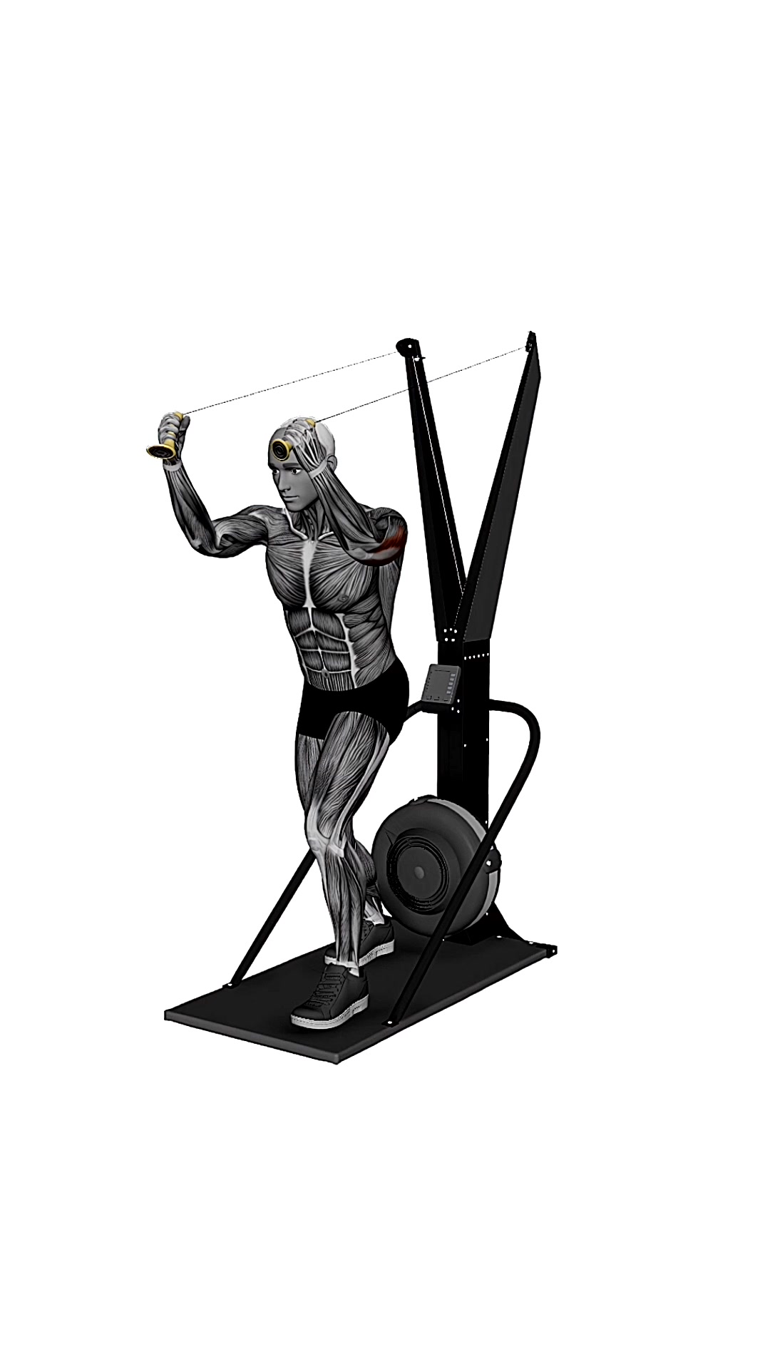 Ski Ergometer Cross Country Ski Reverse Triceps Extension Pull