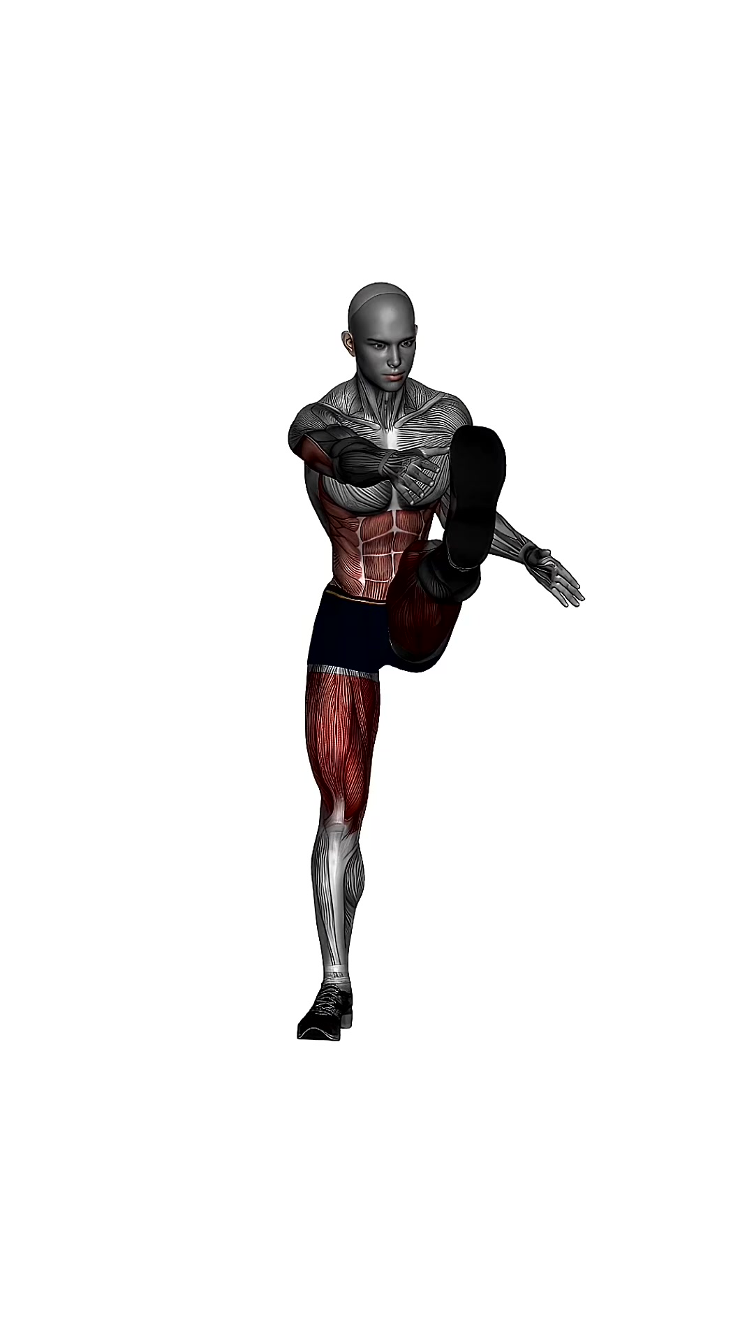 Standing Toe Touch