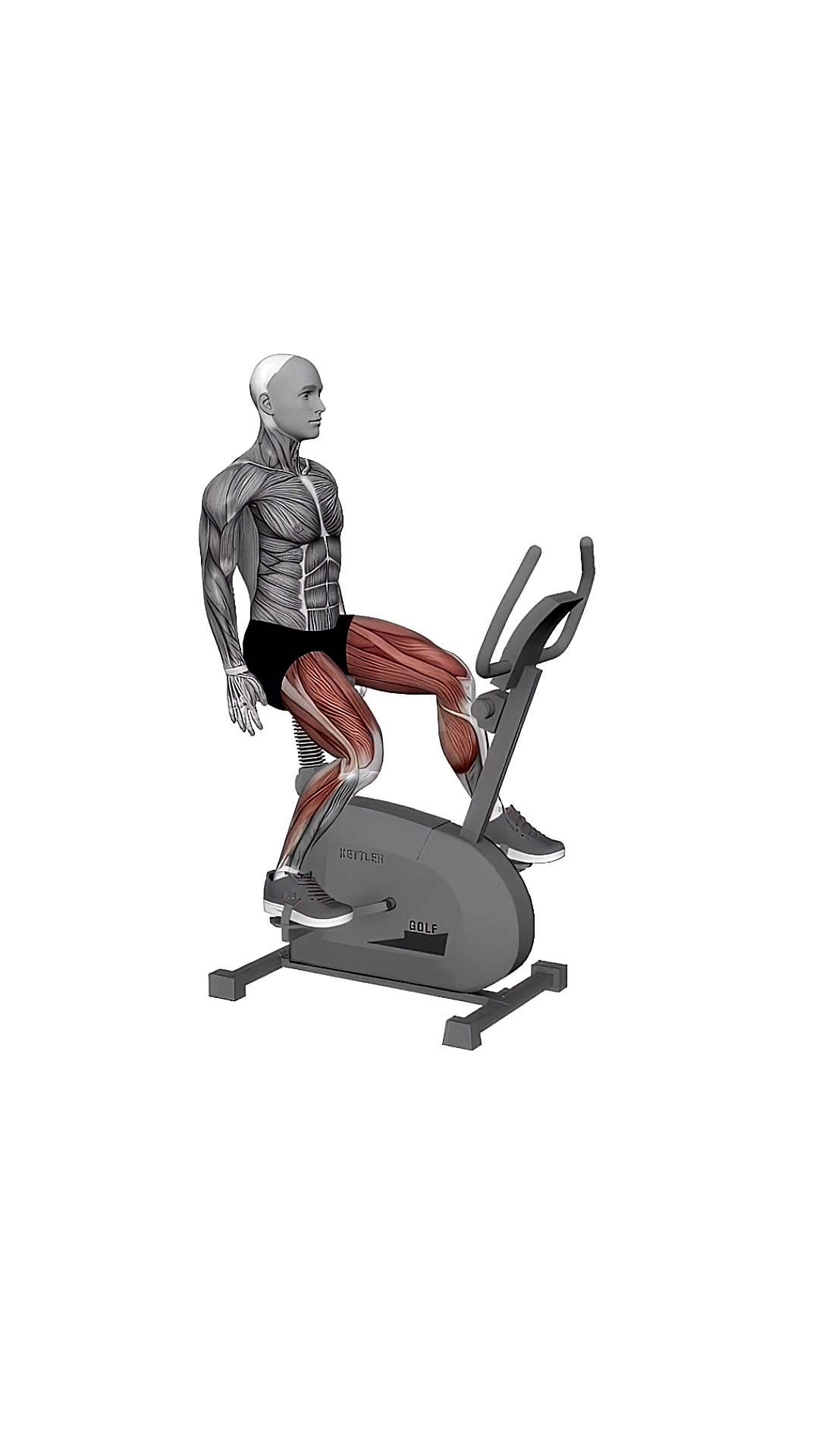 Stationary Exercise Bike