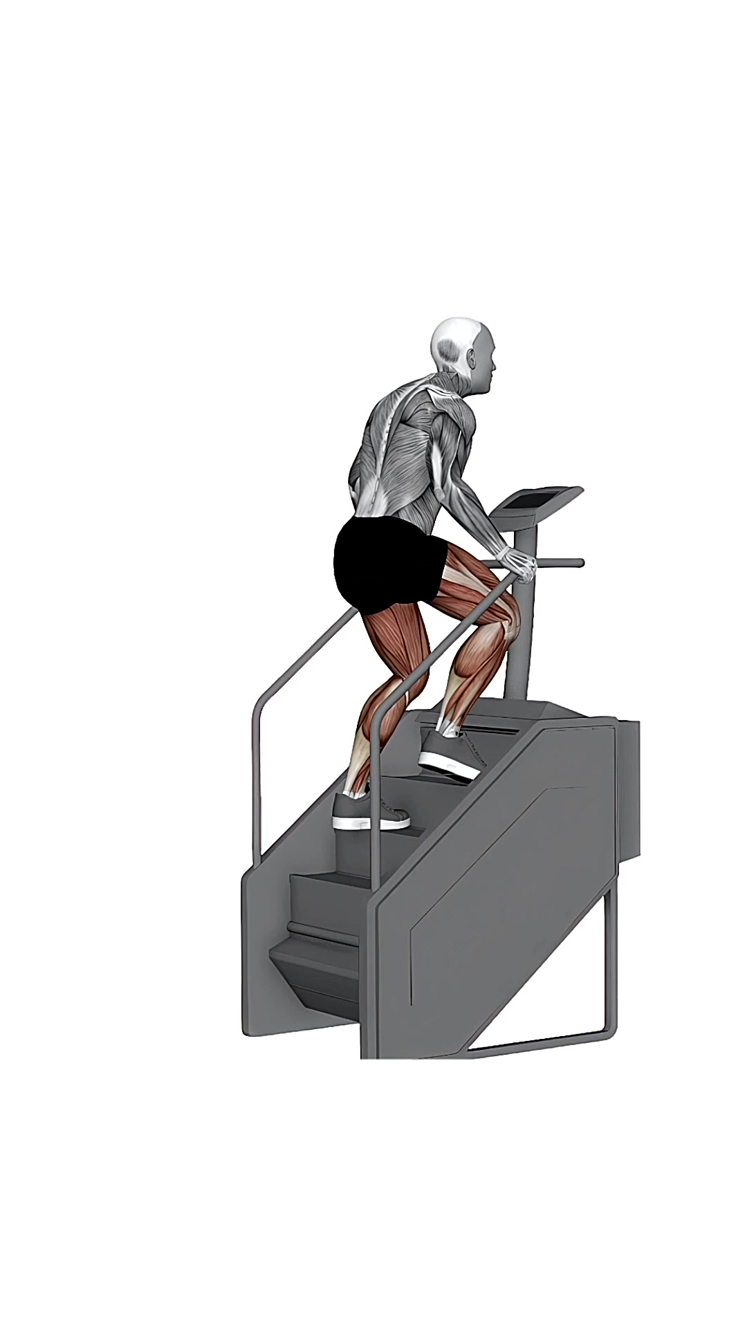 Stepmill Machine Steps