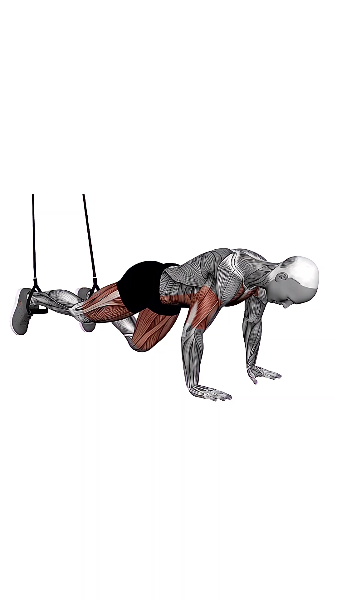 Suspension Trainer With Grips Mountain Climber