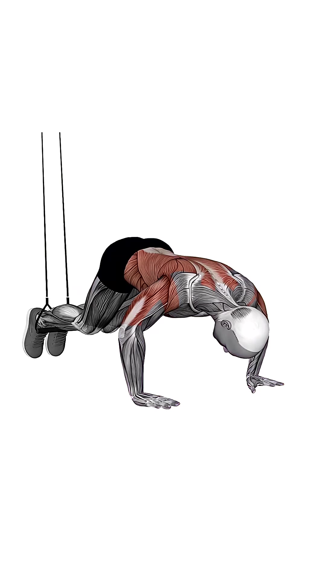 Suspension Trainer With Grips Pike