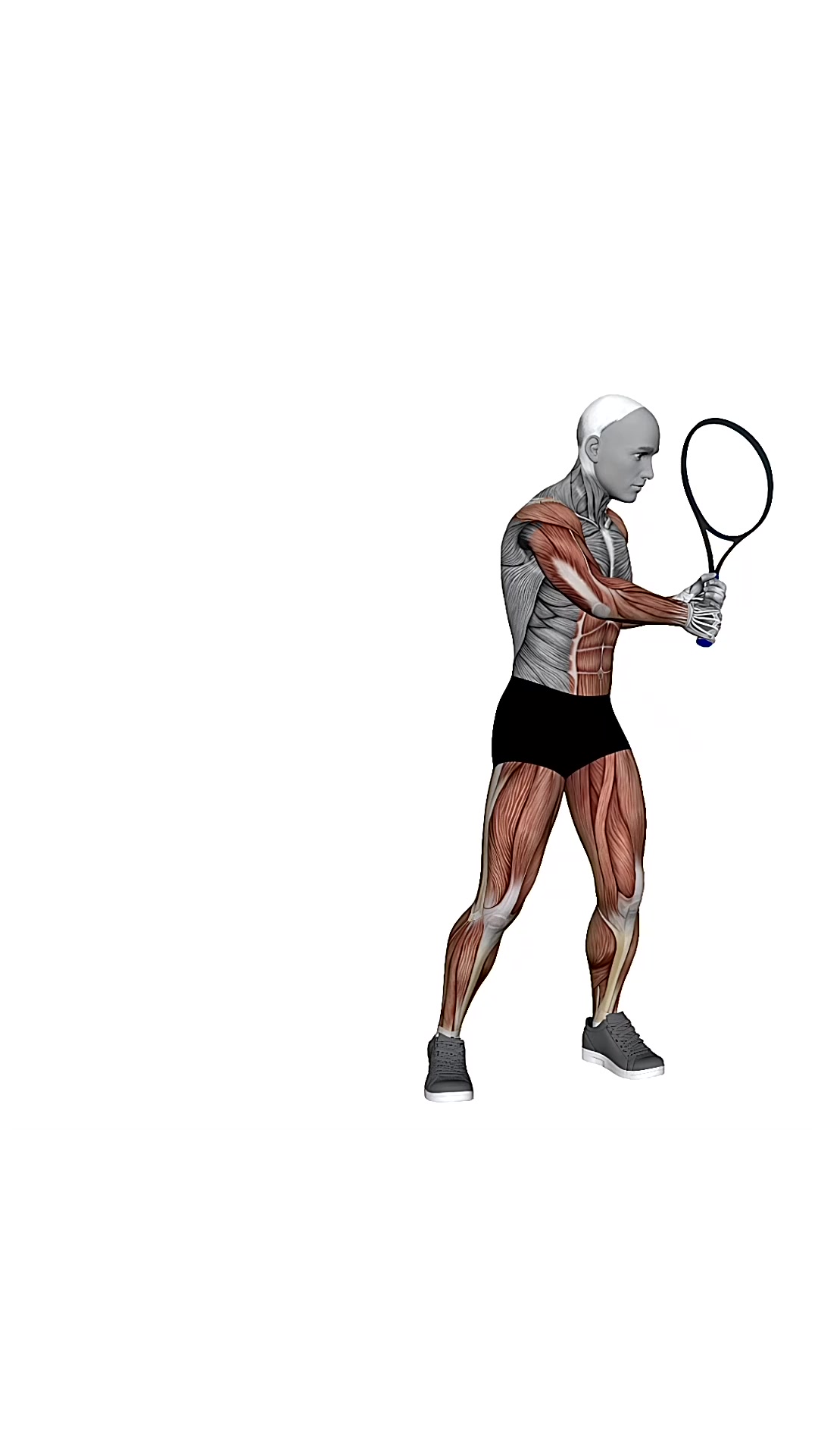 Tennis Forehand Ground Stroke
