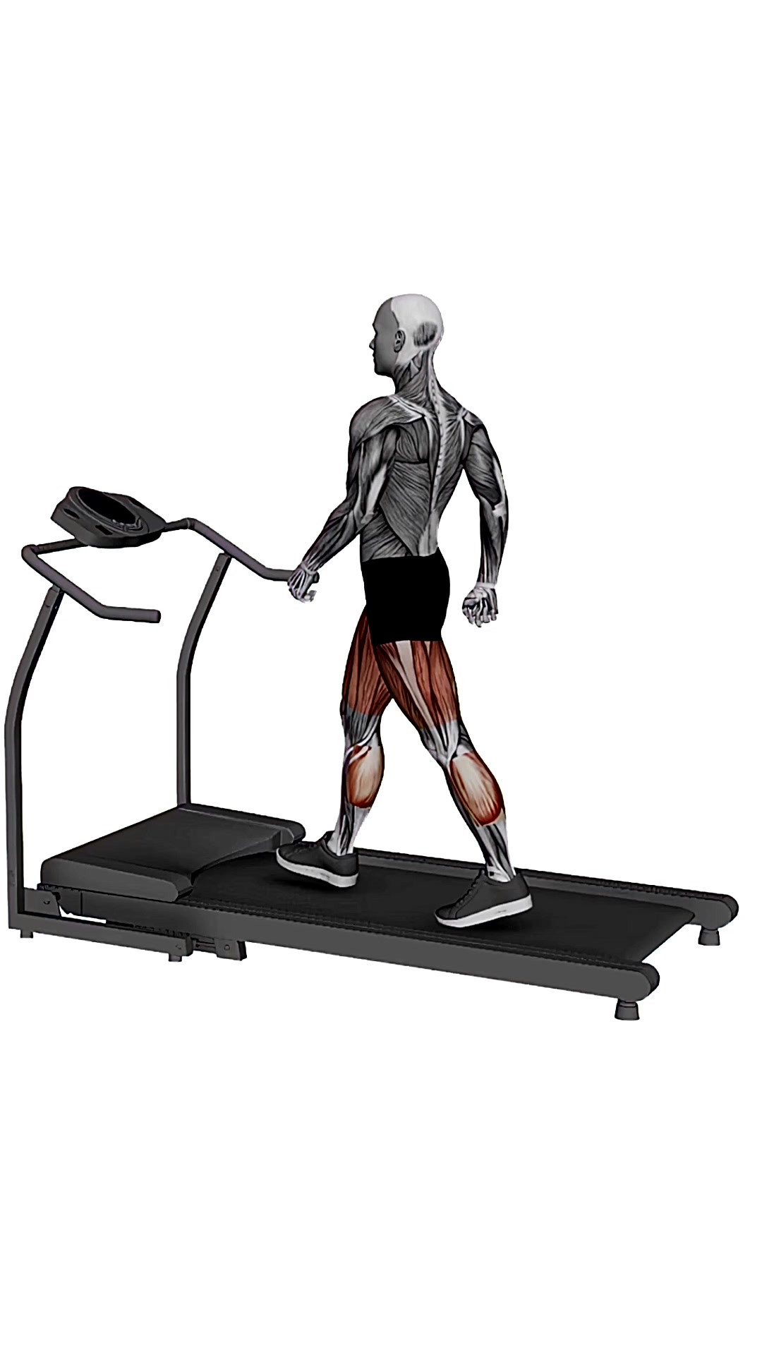 Treadmill Walk