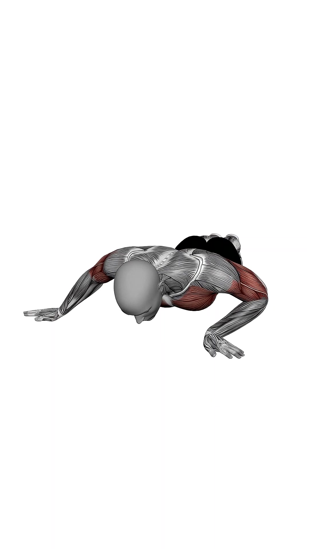 Archer Push Up