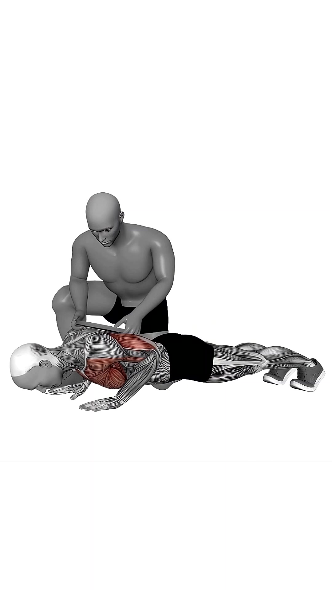 Assisted Weighted Push Up
