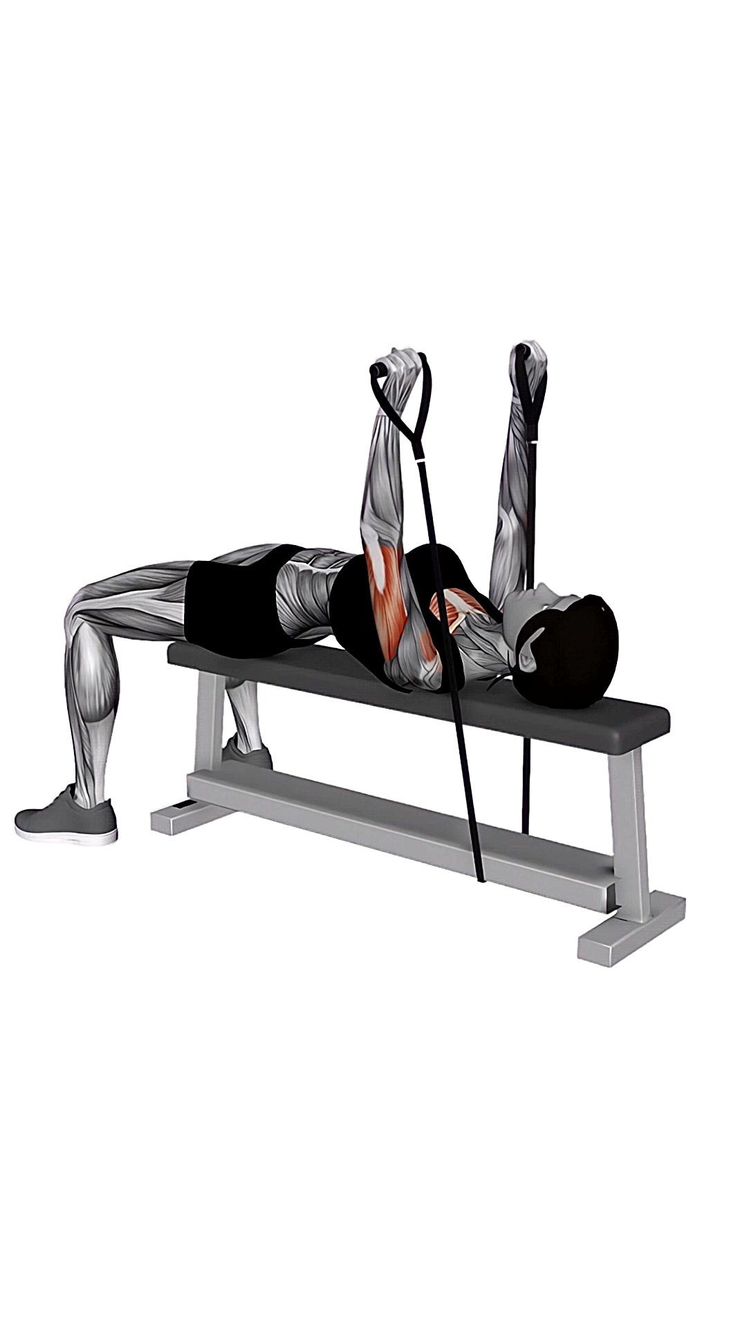 Band Bench Press