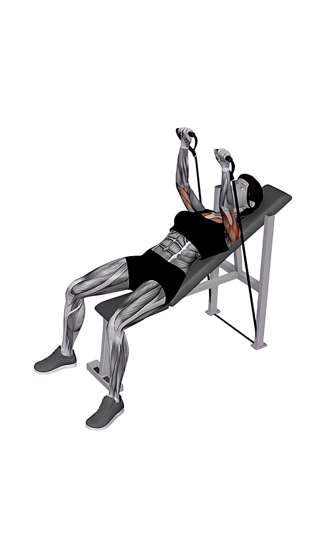 Band Incline Bench Press