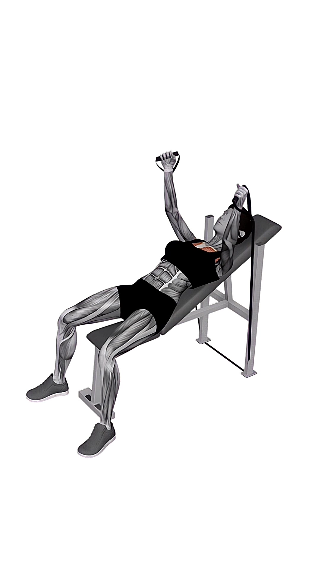 Band Incline Fly