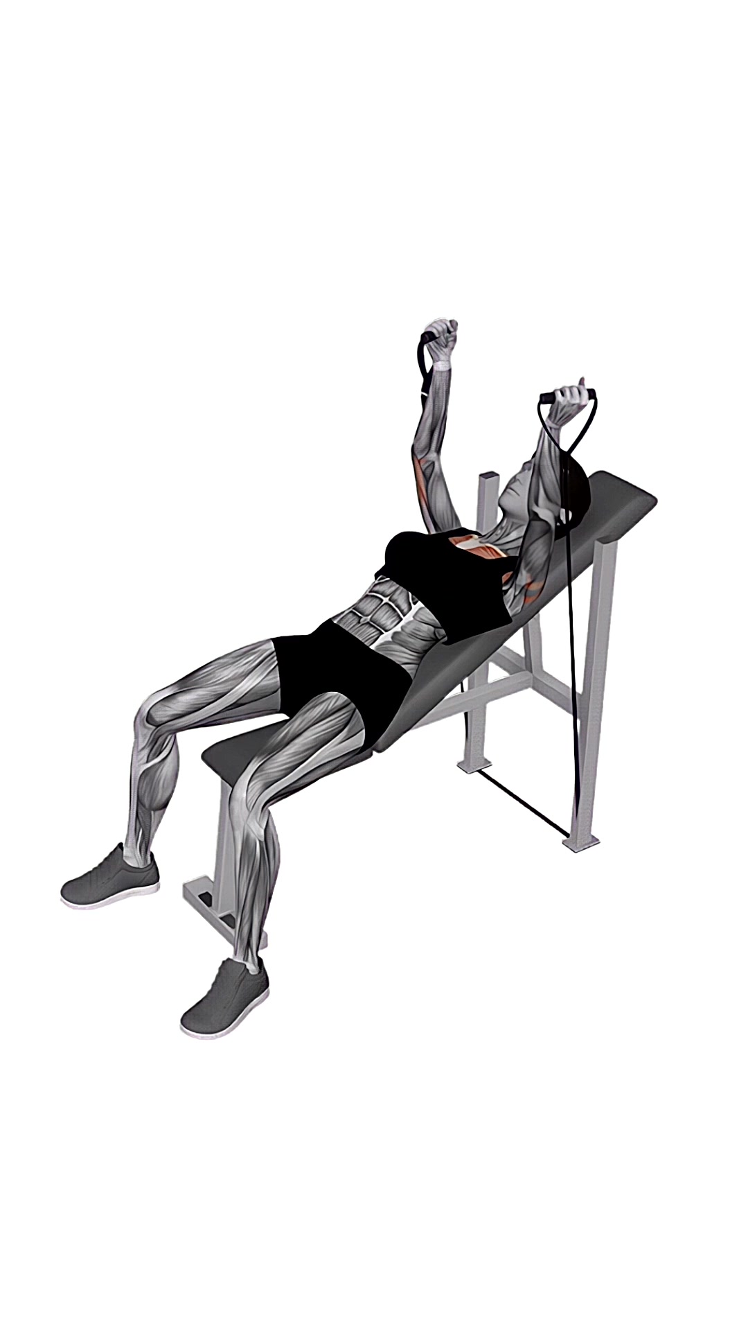 Band Incline Hammer Press