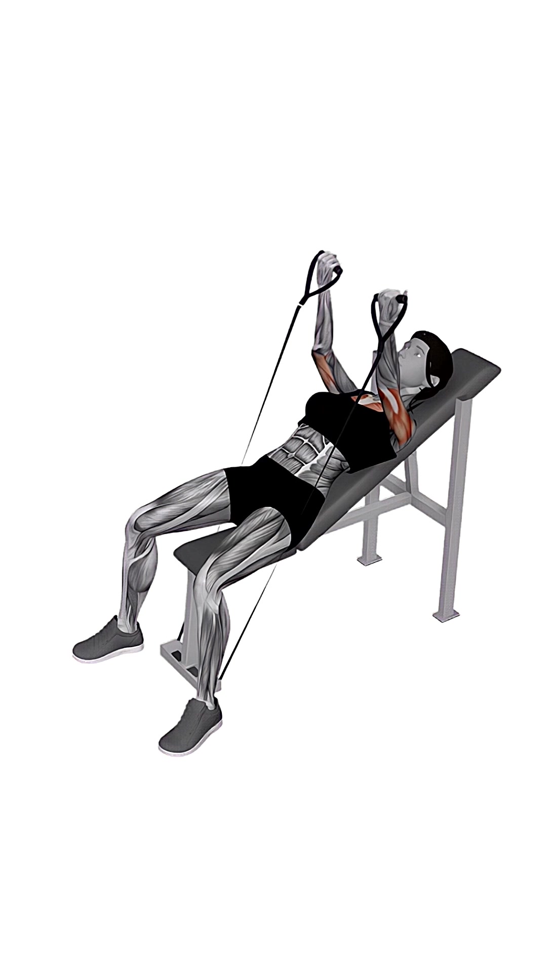 Band Incline Palms Back Press