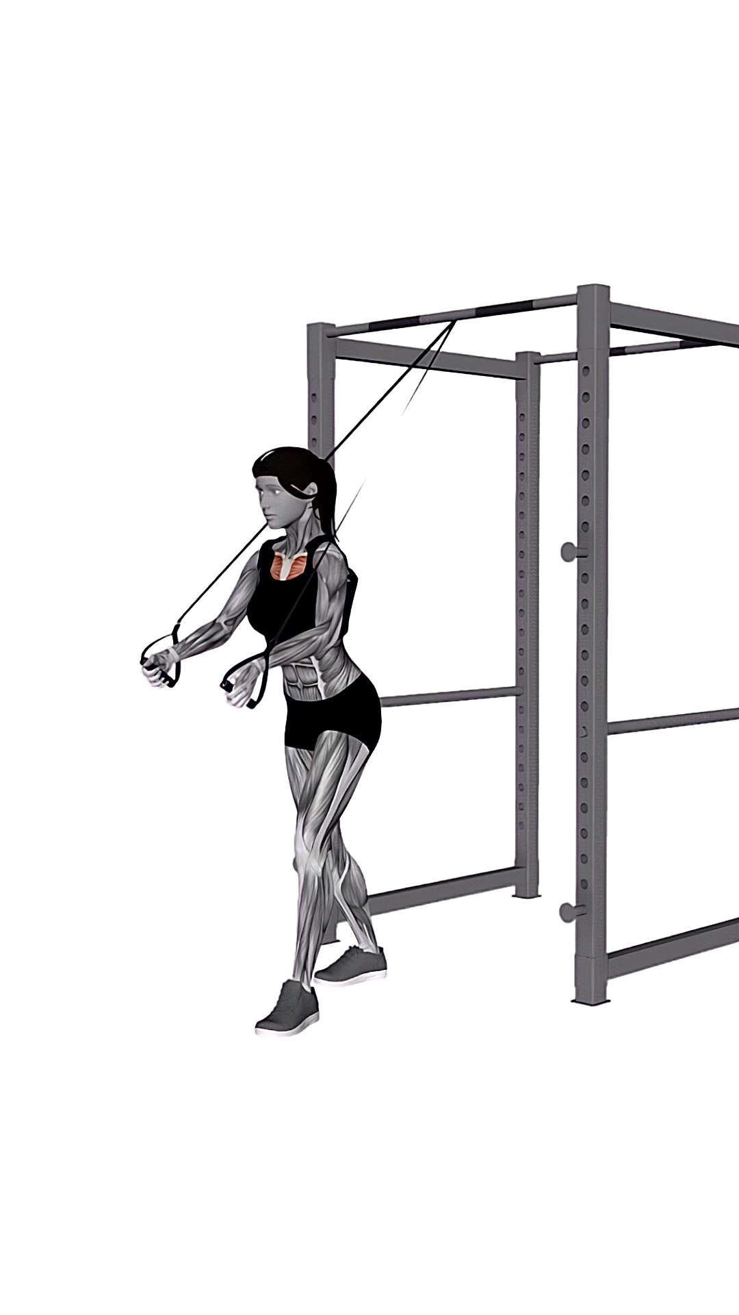 Band Low Chest Fly