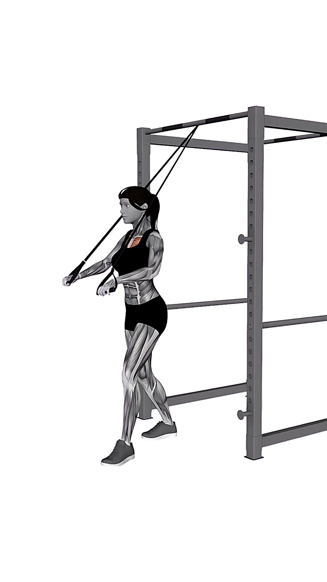 Band Low Chest Press