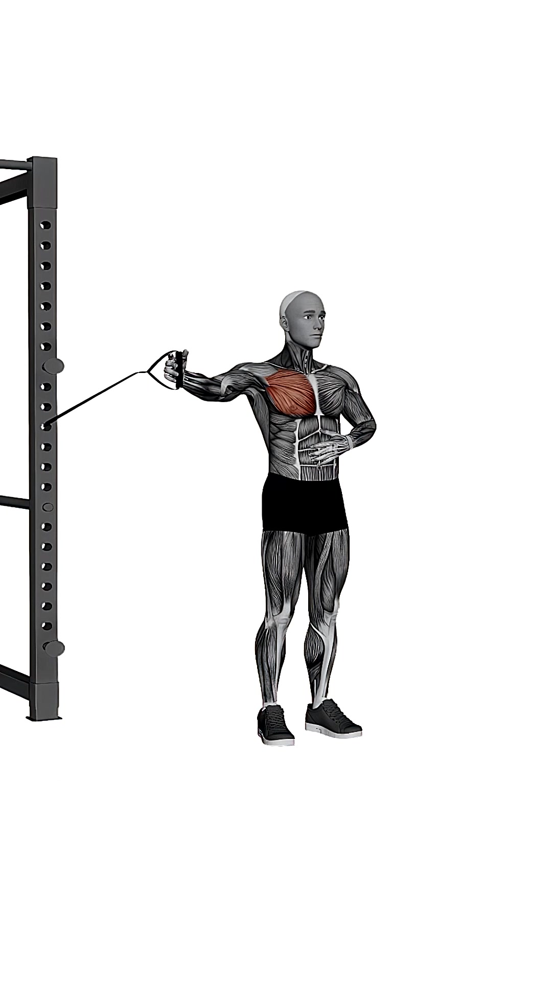 Band Single Arm Pec Fly