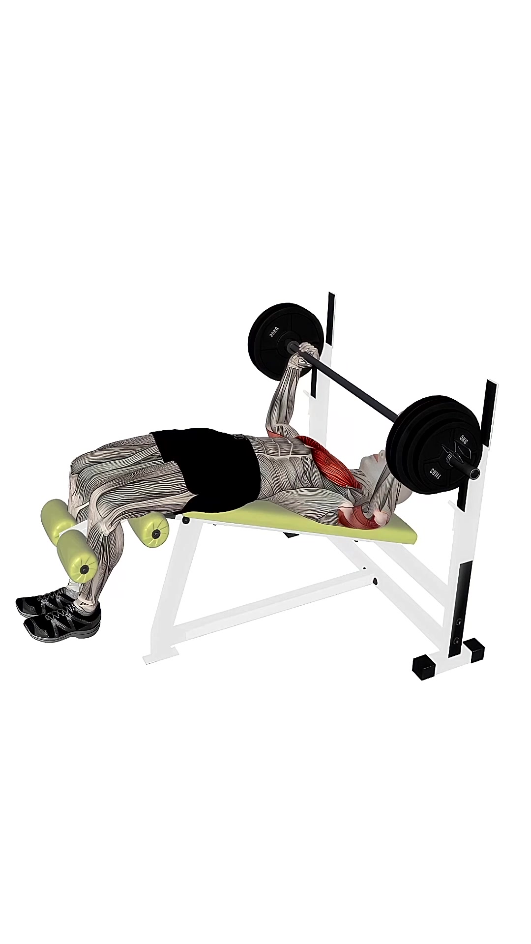 Barbell Bench Press Decline