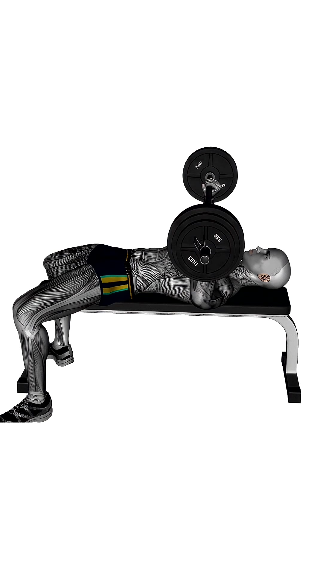 Barbell Bench Press