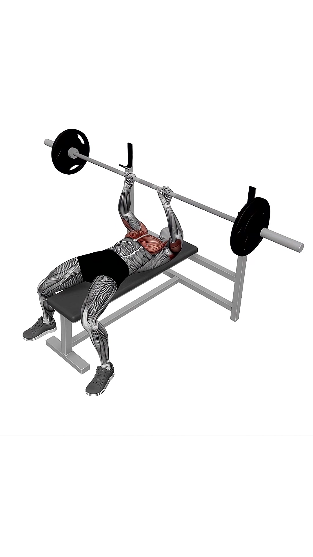 Barbell Close Grip Bench Press